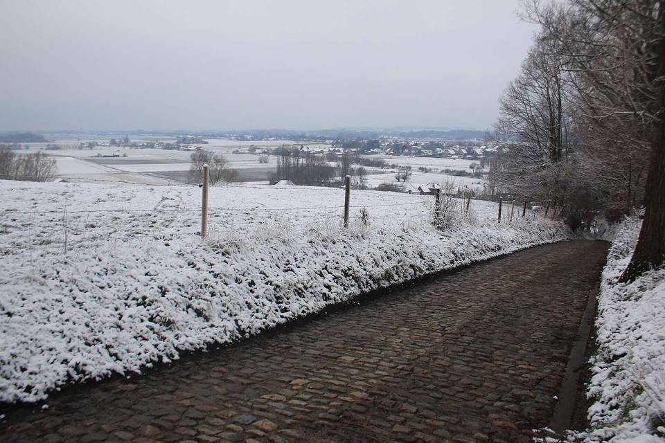 Koppenberg, Vlaamse Ardennen, Melden, Oudenaarde, Vlaanderen, België