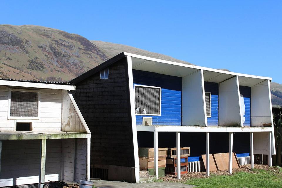 Doo Lofts, Tillicoultry