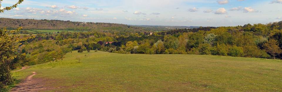 Box Hill panorama, Spring