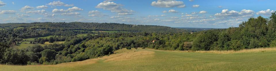 Box Hill, Burford Spur, panorama