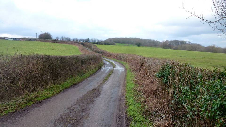 Lane to Llanwilcae-fach