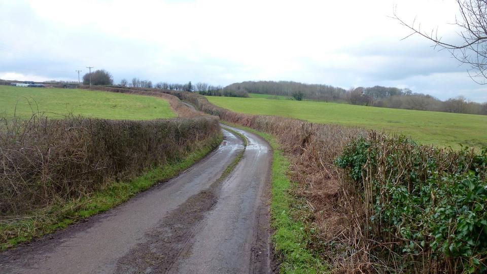Lane to Llanwilcae-fach