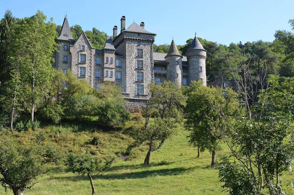 Château d'Anterroches et son verger vus depuis la route nationale 122 au mois d'août 2015.