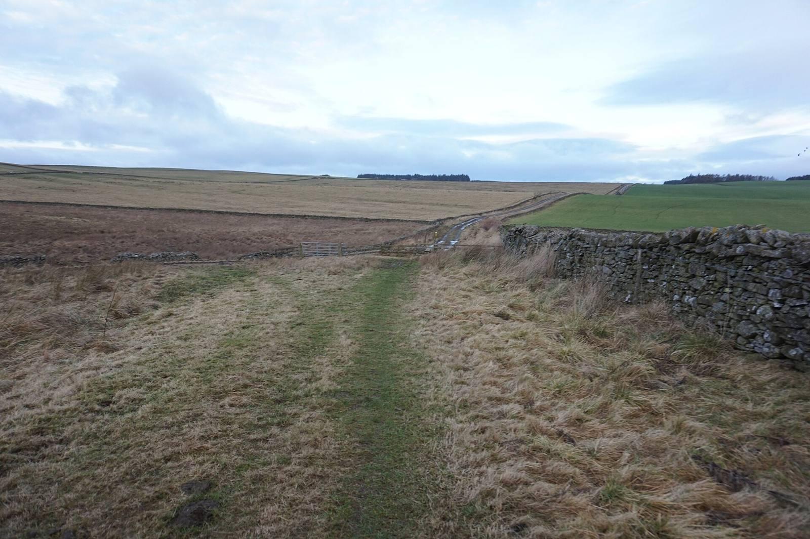 Southern Upland Way towards Bluecairn