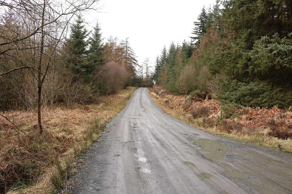 Raiders Road