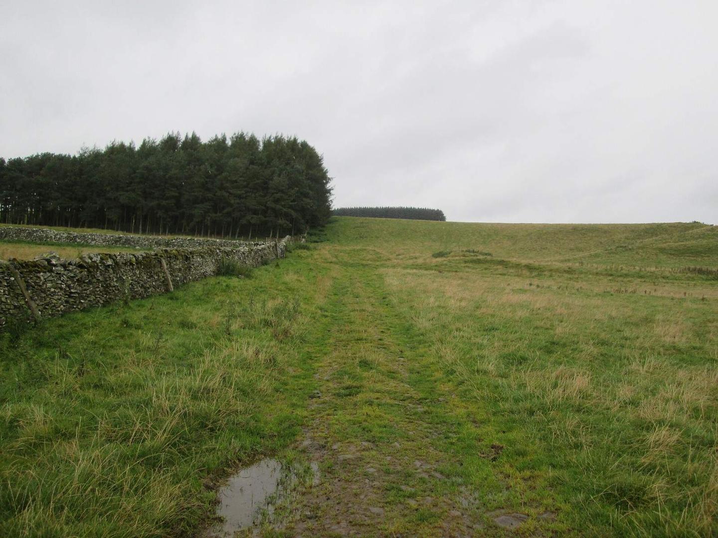 Track toward Drinkstone Hill