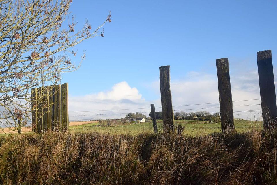 Gap in the fence