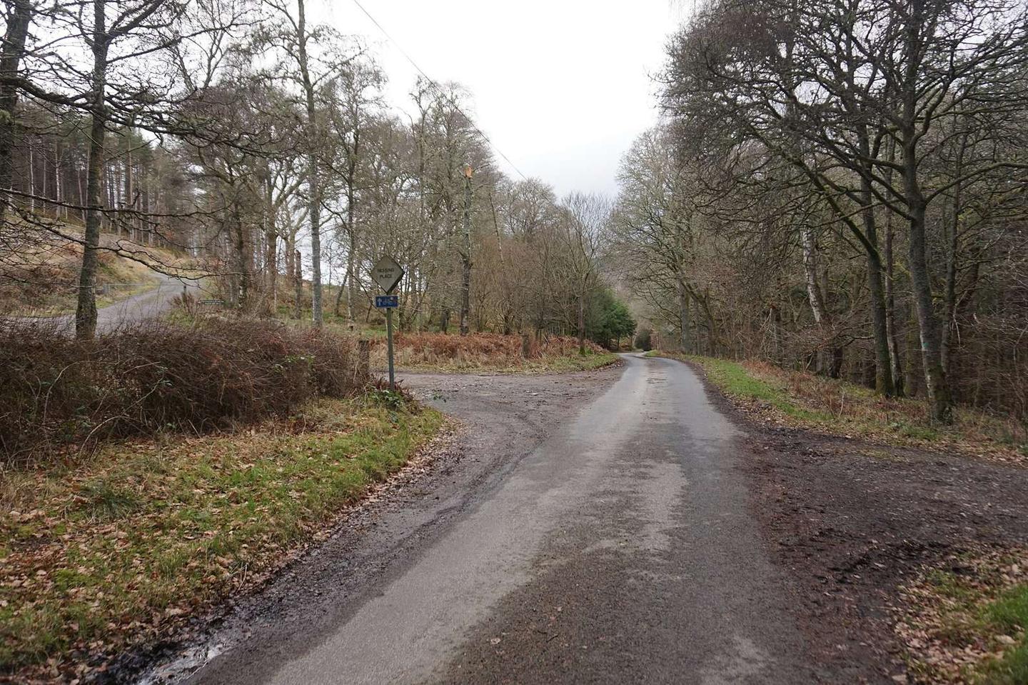 Road towards Juniperbank