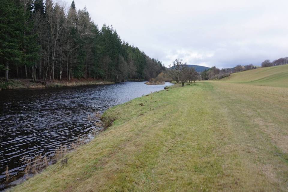 Riverside path towards Yair Bridge
