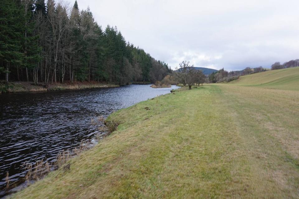 Riverside path towards Yair Bridge