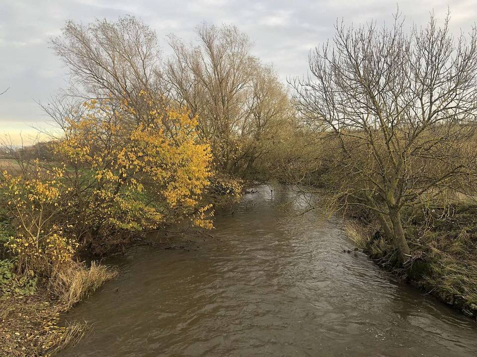 River Tyne