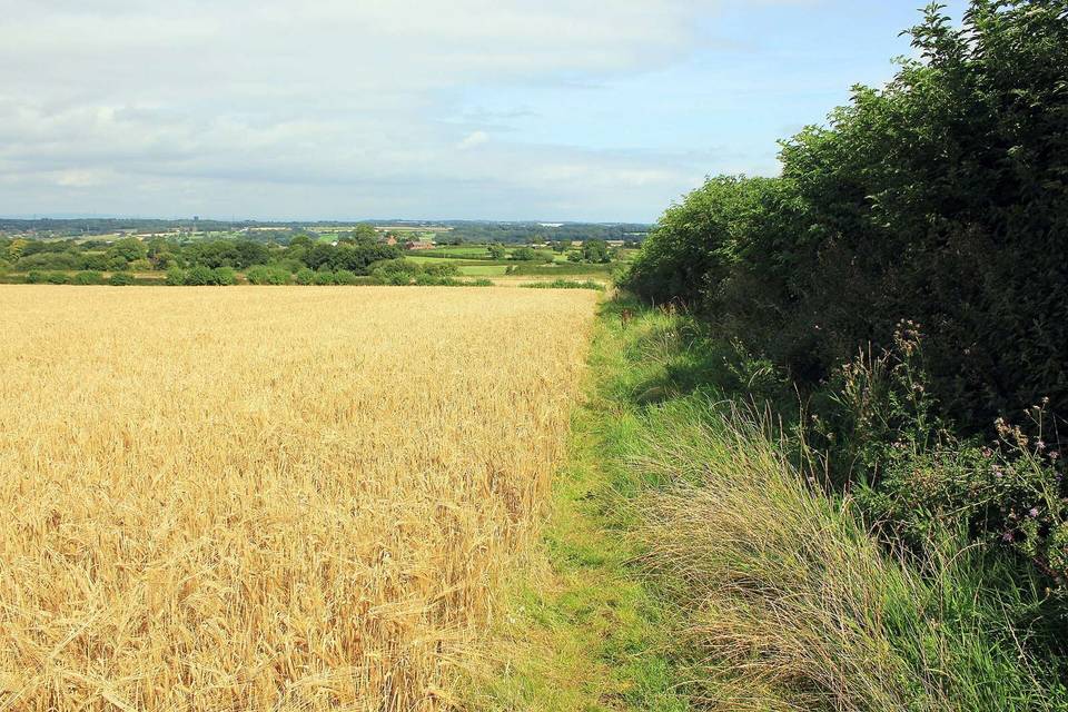 The North Cheshire Way at Five Crosses Farm