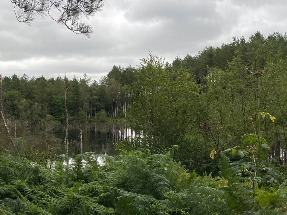 Cycling in Northwich