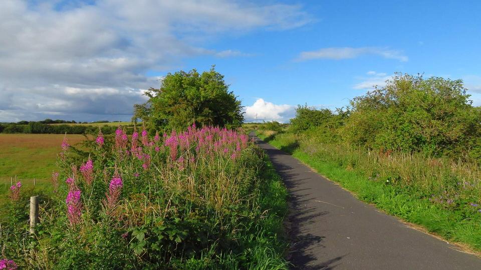 Cycle path running northeast from Kilwinning towards Blair Road