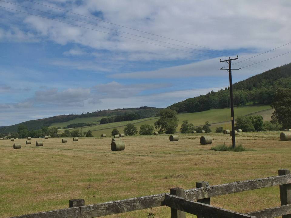 Silage bales at Stobo