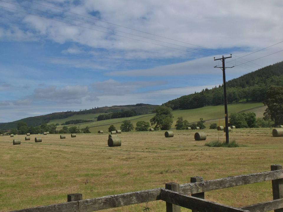 Silage bales at Stobo