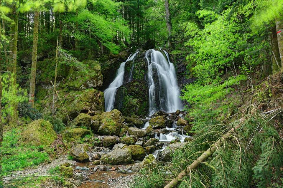 This image was uploaded as part of Wiki Loves Earth 2015.