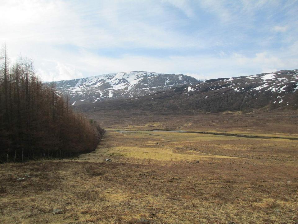 Upper Strath Spey