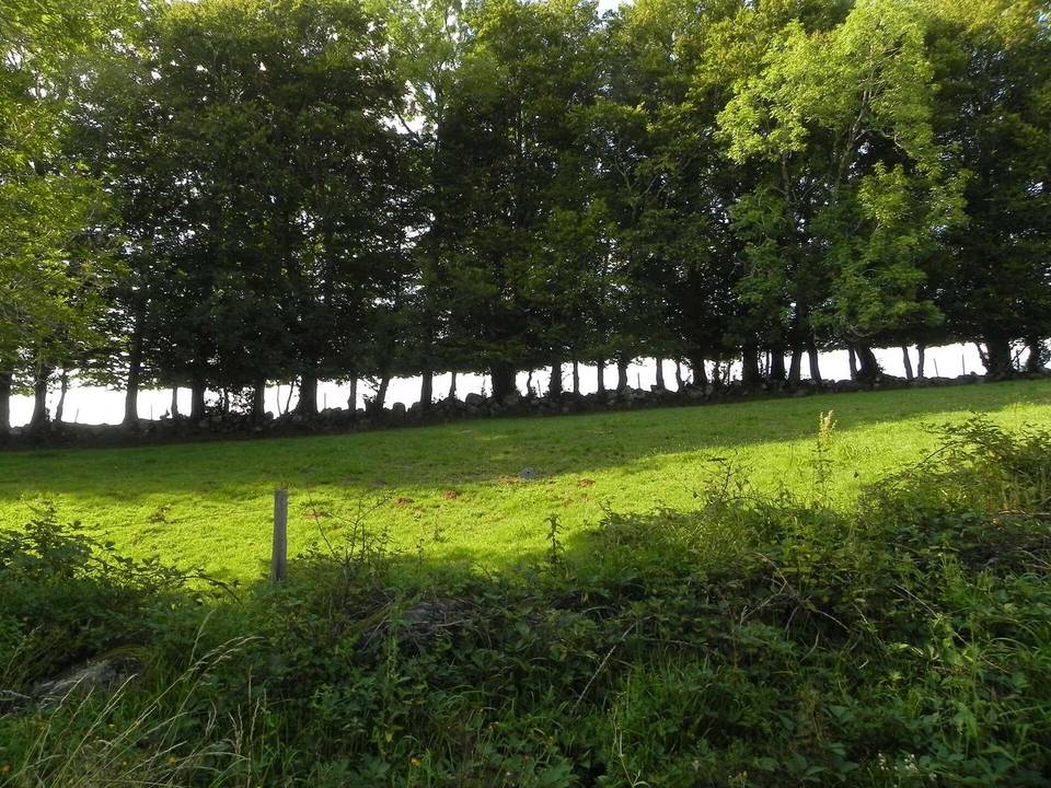 Salers , pays de pierre et de grands espaces, situé entre Dordogne et Puy-Mary