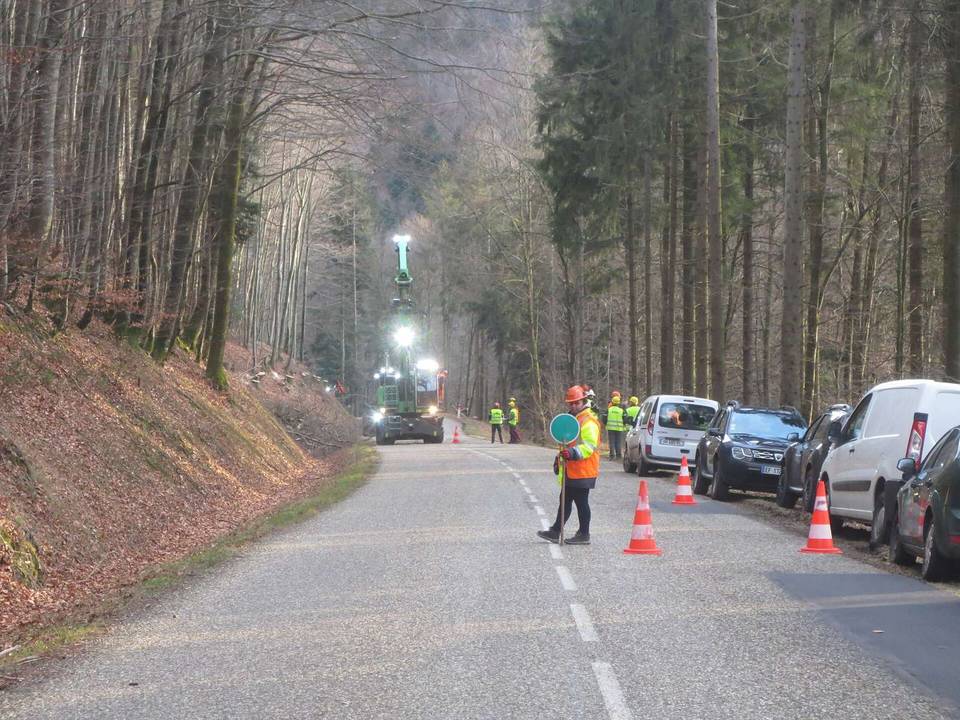 Chantier de débardage dans le col du Donon