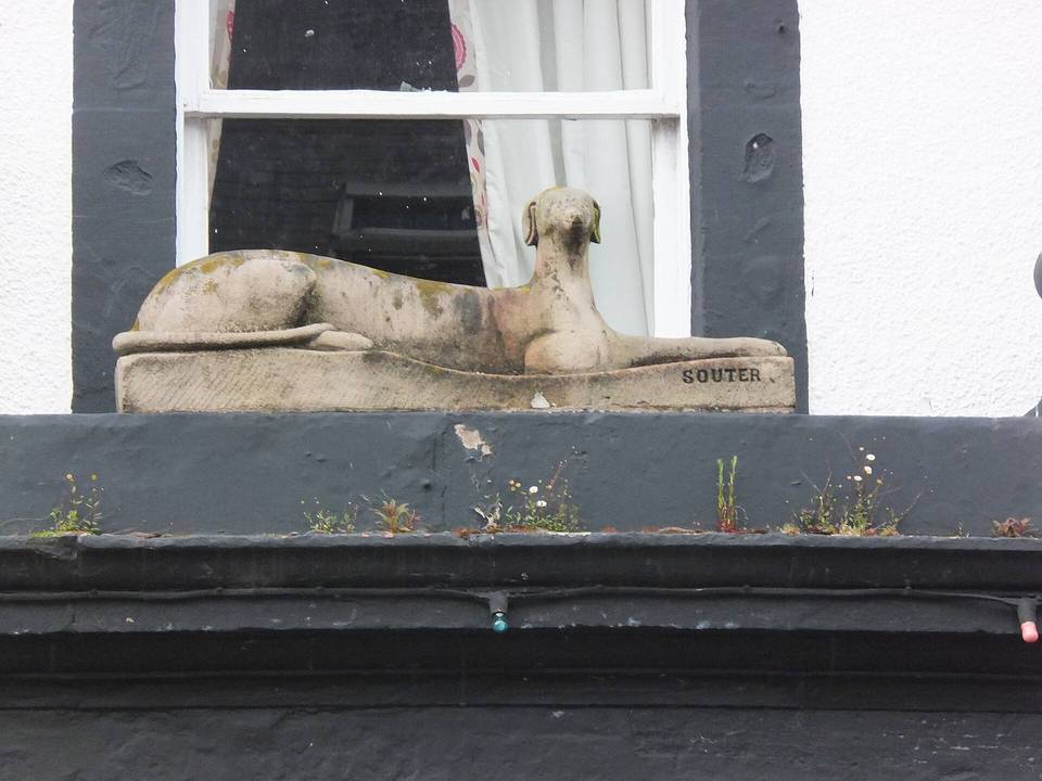 Red Dog Souter
