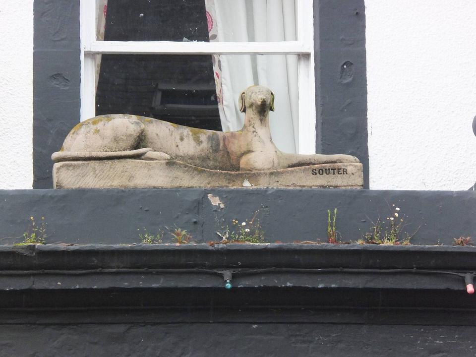 Red Dog Souter