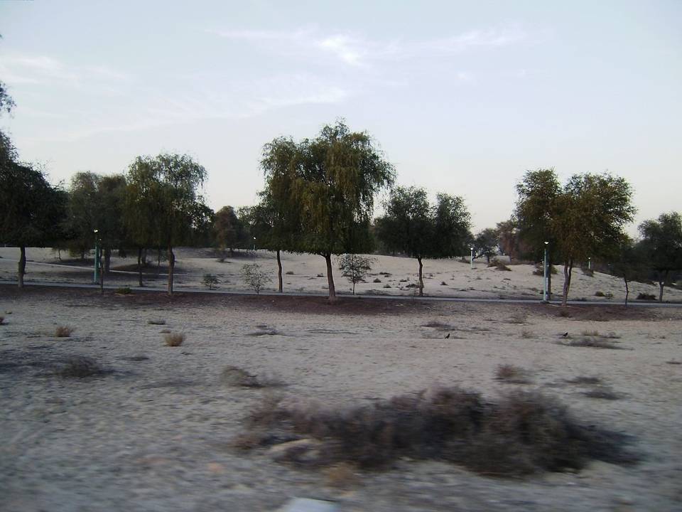 Mushrif National park, Dubai