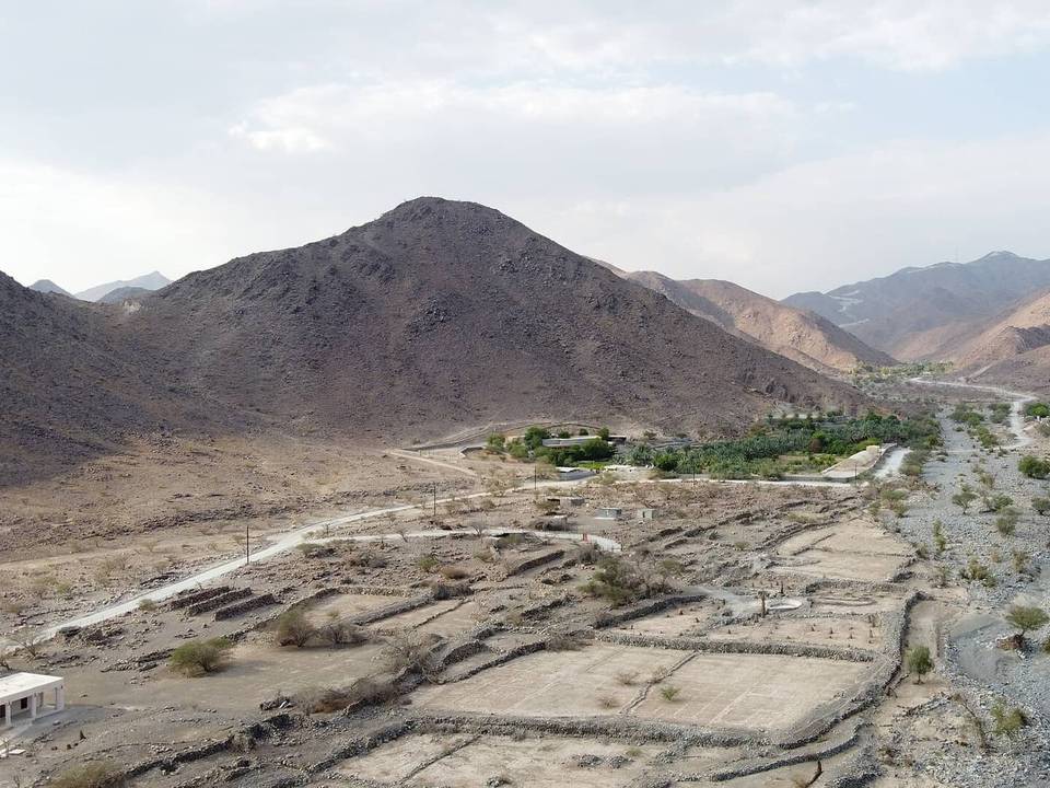 On the road: Coast to Coast: Sharjah to Dibba