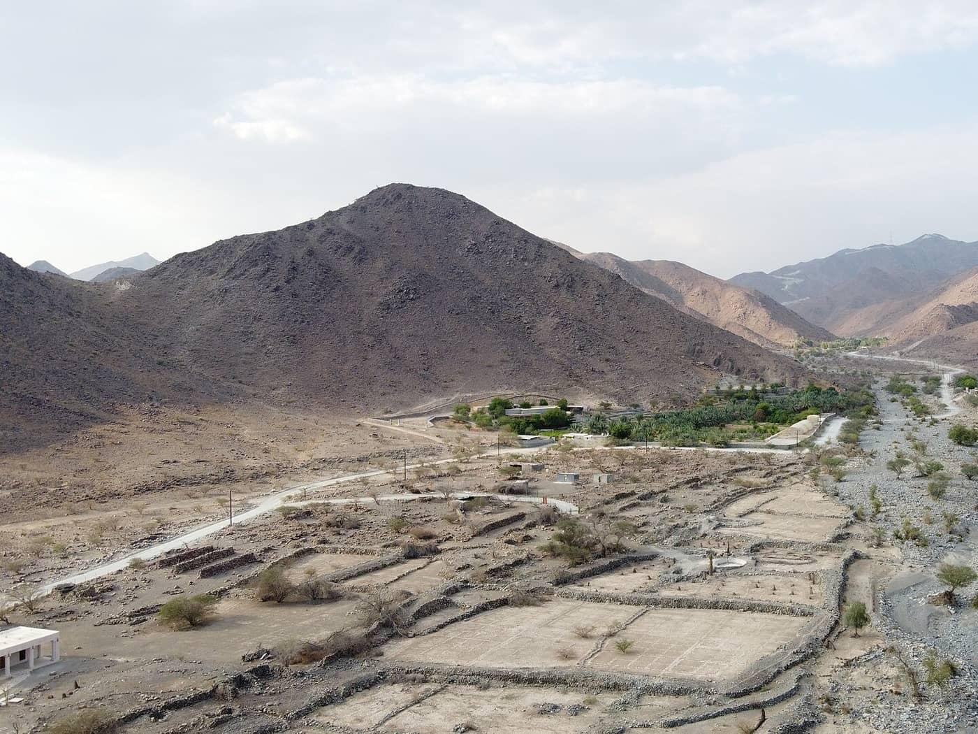 Abandoned tobacco fields in the Wadi Helou