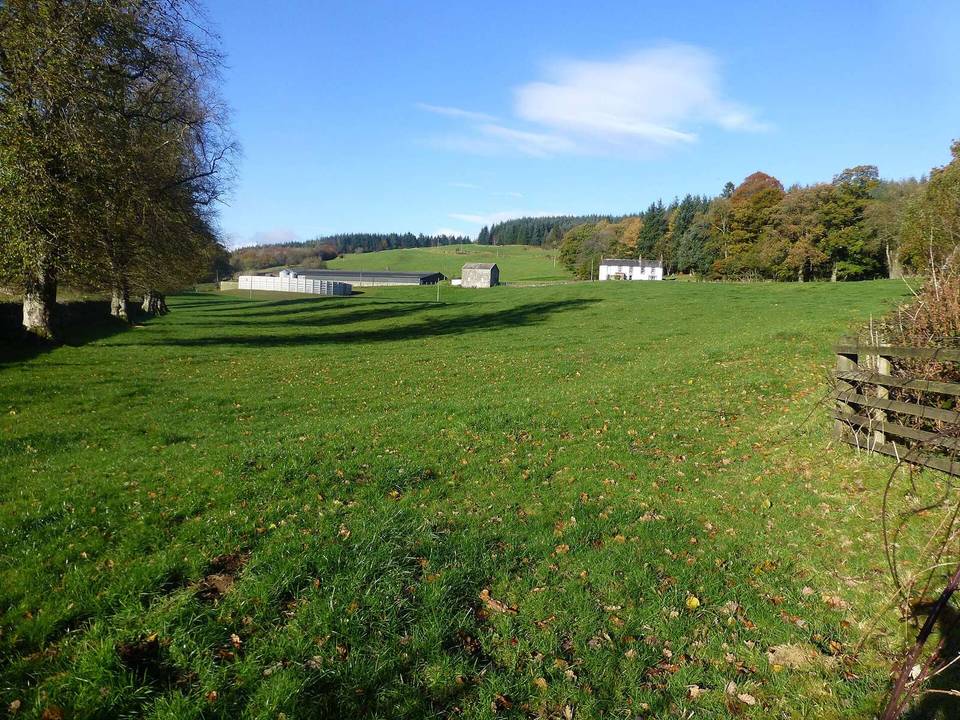 Route Towards Killyleoch Hill