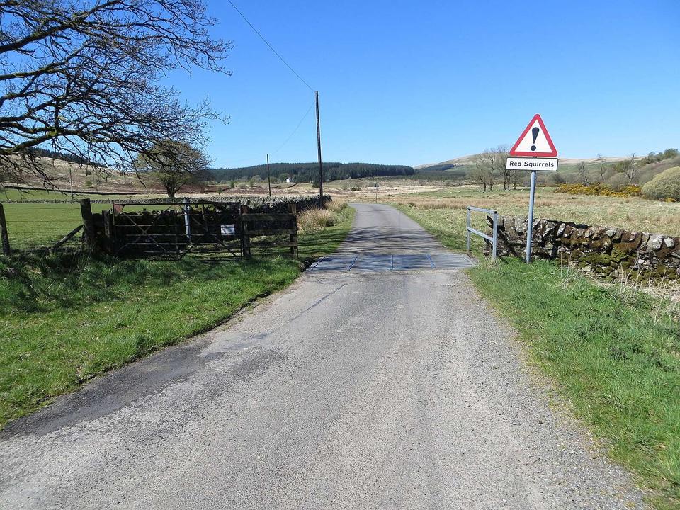 Red Squirrels ahead - minor road with cattle grid near the entrance to Margreig