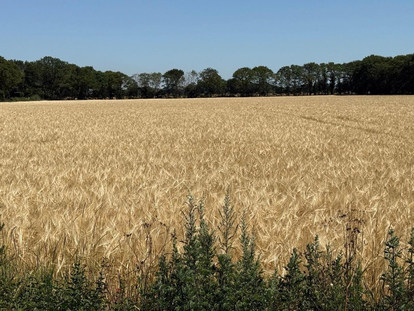 On the road: Skellingthorpe – Navenby, Skellingthorpe