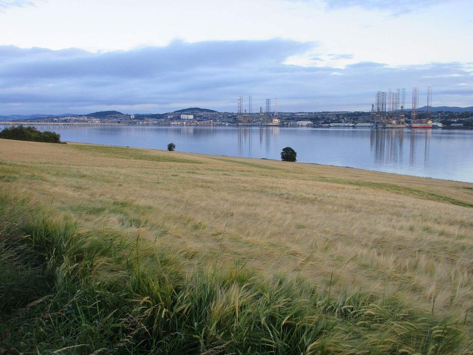 Barley field by the Tay