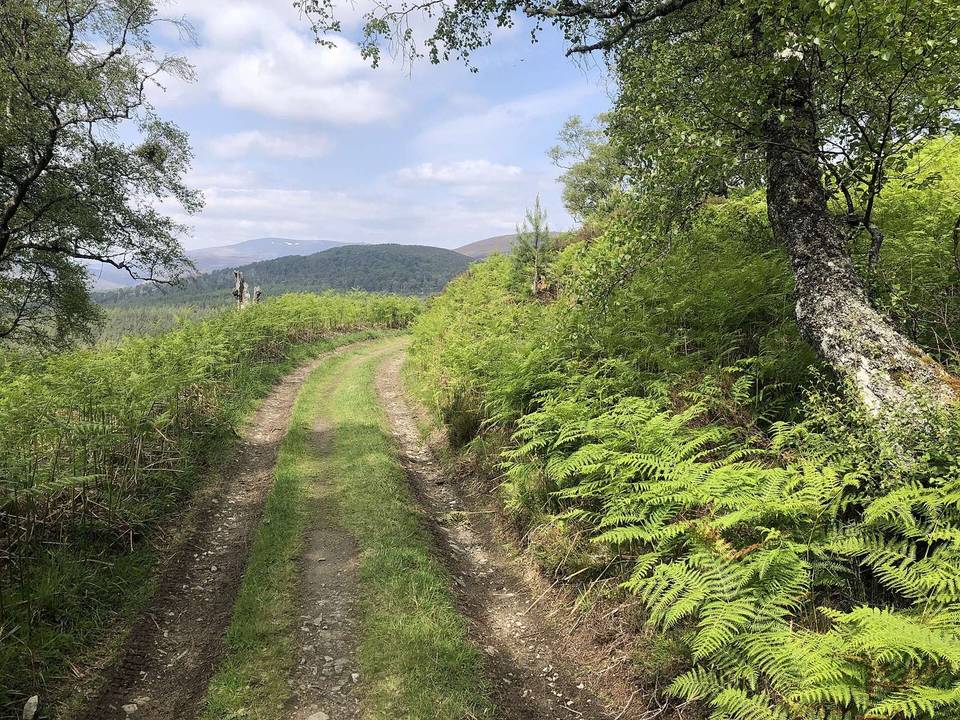 Bealach Dearg road