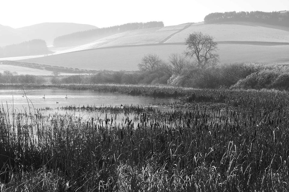 A frosty November morning at Yetholm Loch