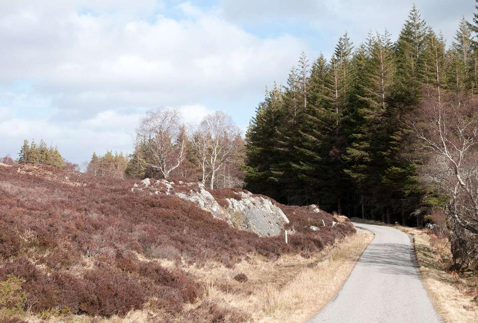 Road between Croick and The Craigs