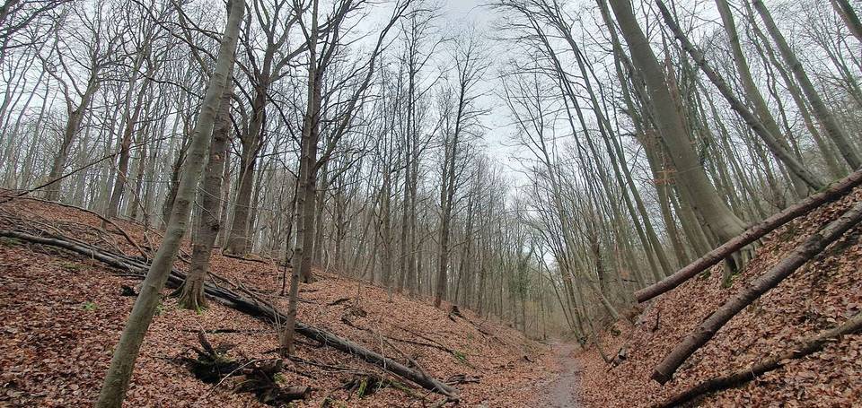 Winterse dag in januari 2023.Het is een heuvelrig dat lijk op een uitloper van de Cauberg in Valkenburg.