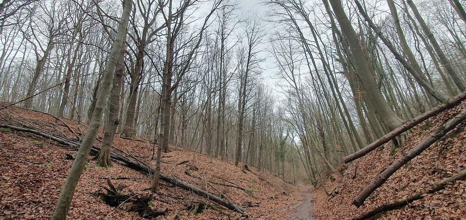 Winterse dag in januari 2023.Het is een heuvelrig dat lijk op een uitloper van de Cauberg in Valkenburg.