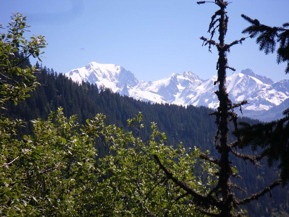 le mont blanc depuis bisanne 1500