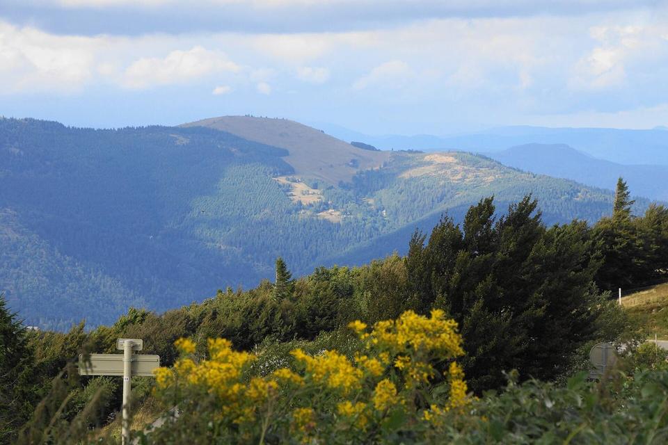 On the road: Col du Grand Ballon from Willer-sur-Thur